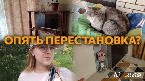 ВЛОГ Делаем ШАУРМУ🌯 Новая полка?🪴