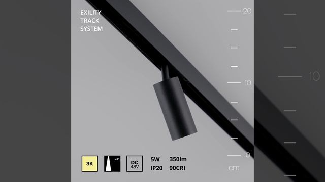 Светильник Maytoni Exility Focus LED TR032-2-5W3K-S-B смотреть онлайн