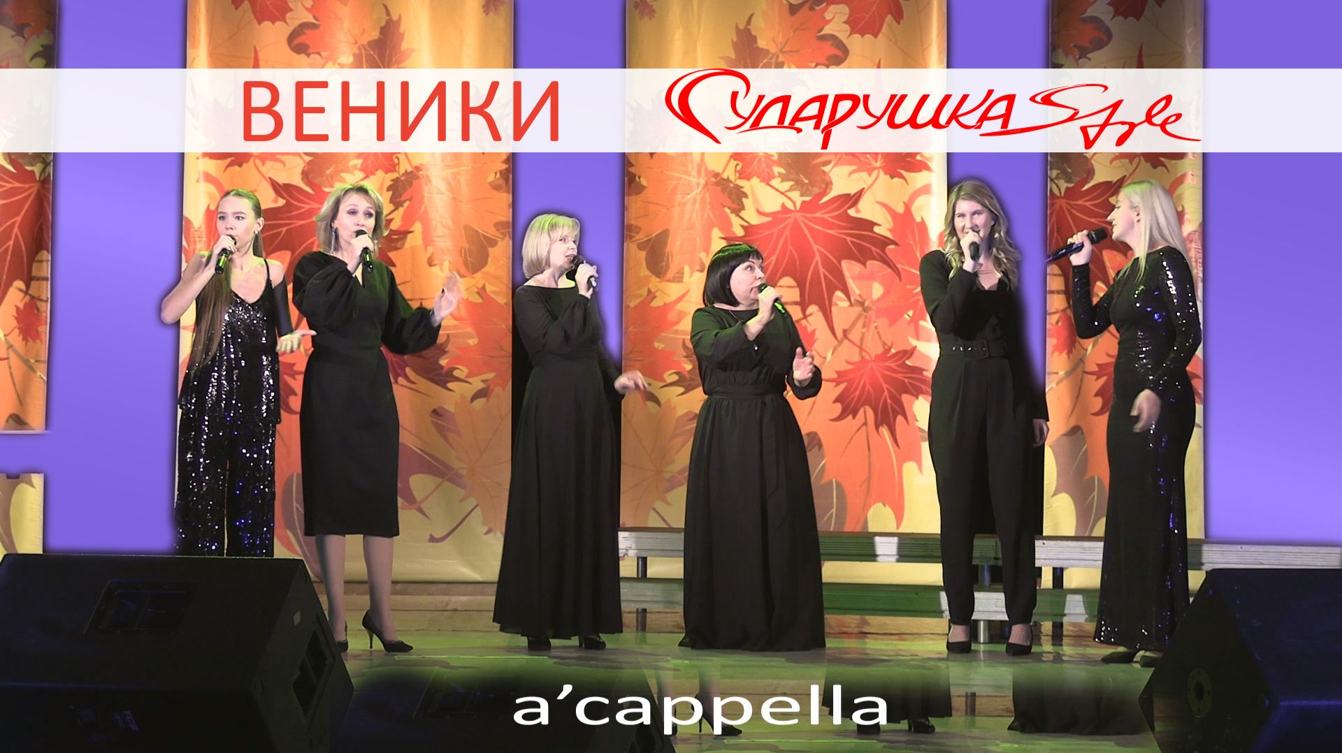 ВЕНИКИ - Сударушка-style