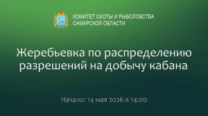 Жеребьевка по распределению разрешений на добычу кабана в сезоне охоты 2026 – 2027 годов