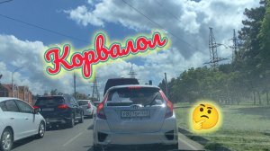 Пенсионеру приходится РАБОТАТЬ/Огромные КВАРТИРЫ на юге/Сезон в разгаре/Первые всходы