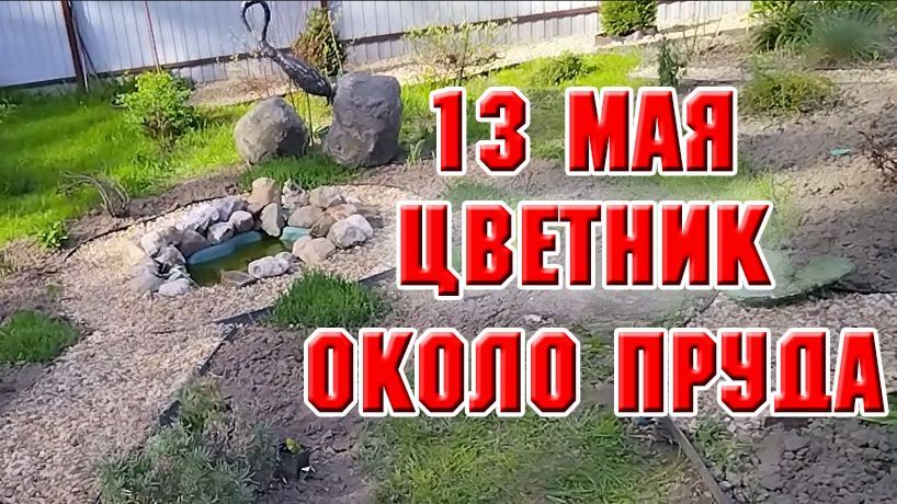 13 мая. Привела в порядок зону около нового прудика