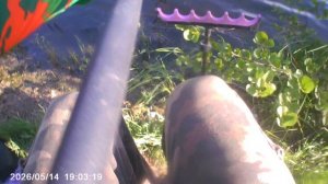 Сегодня вечерком маленько порыбачи 🎣 Рыбачил на поплавок 🎣 Прикормка Стерля (Чеснок).