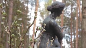 Восстановление исторической композиции Павловского парка