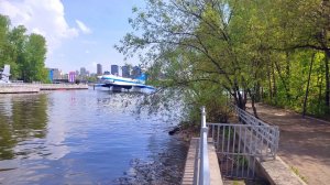 Берег Химкинского водохранилища. 14.05.2026 год.