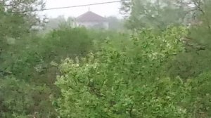 С НОВЫМ ДНЁМ 🖖