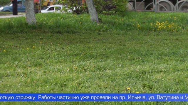 В Первоуральске приводят в порядок газоны