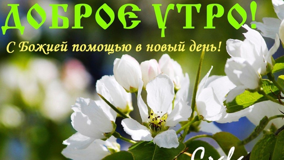 Благословенного майского утра. Шикарная музыкальная открытка.