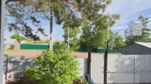 В теплице все растет// на обед макароны//съездила в город за рассадой//болталка//