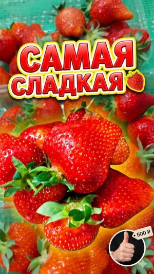 Нашел ИДЕАЛЬНУЮ клубнику в Сочи! 🍓 Посмотрите на этот размер!