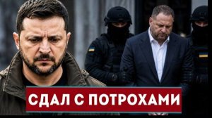 Прямо сейчас! Ермак отправлен в СИЗО - Зеленский готовит побег?