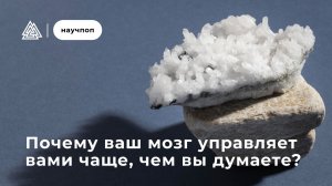Почему ваш мозг управляет вами чаще, чем вы думаете / Научпоп / Московский институт психоанализа