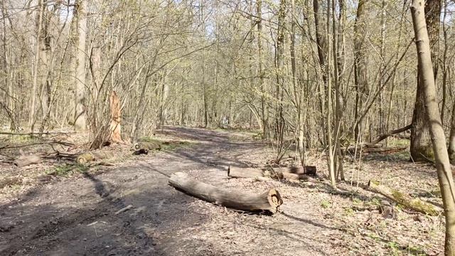 Звуки природы смотреть онлайн