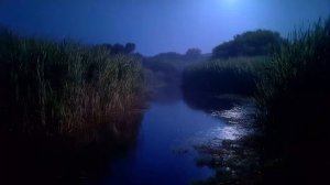 midnight whispers on silent water ⧸⧸ deep atmosphere for 3am 🌌