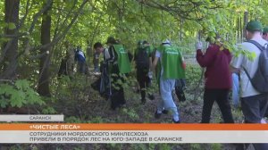 Сотрудники минлесхоза Мордовии участвуют в акции «Чистые леса»