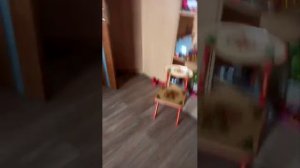 СТРИМ🔴