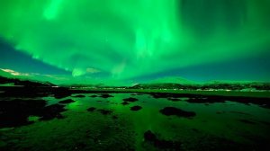 что же это за чудо?