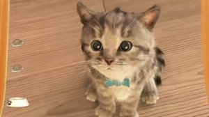 МОЙ МАЛЕНЬКИЙ КОТЕНОК №2. ИГРА про котят на канале Барсик ТВ