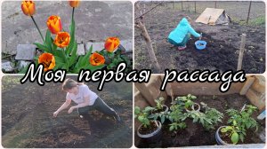 МОЯ ПЕРВАЯ РАССАДА В НОВОМ ДОМЕ И ПЛАНЫ НА САДОВЫЙ УЧАСТОК 2026