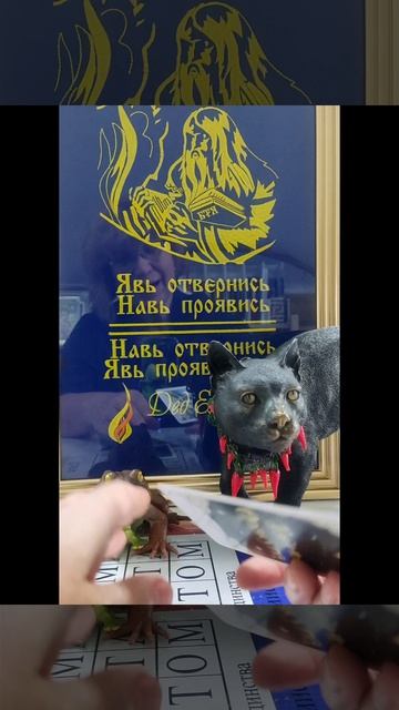Совет дня🐸 14 мая🙋#новинка#семья#работа#дом#психология