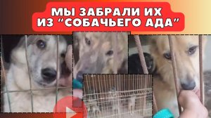 Всё, ради обретения дома!