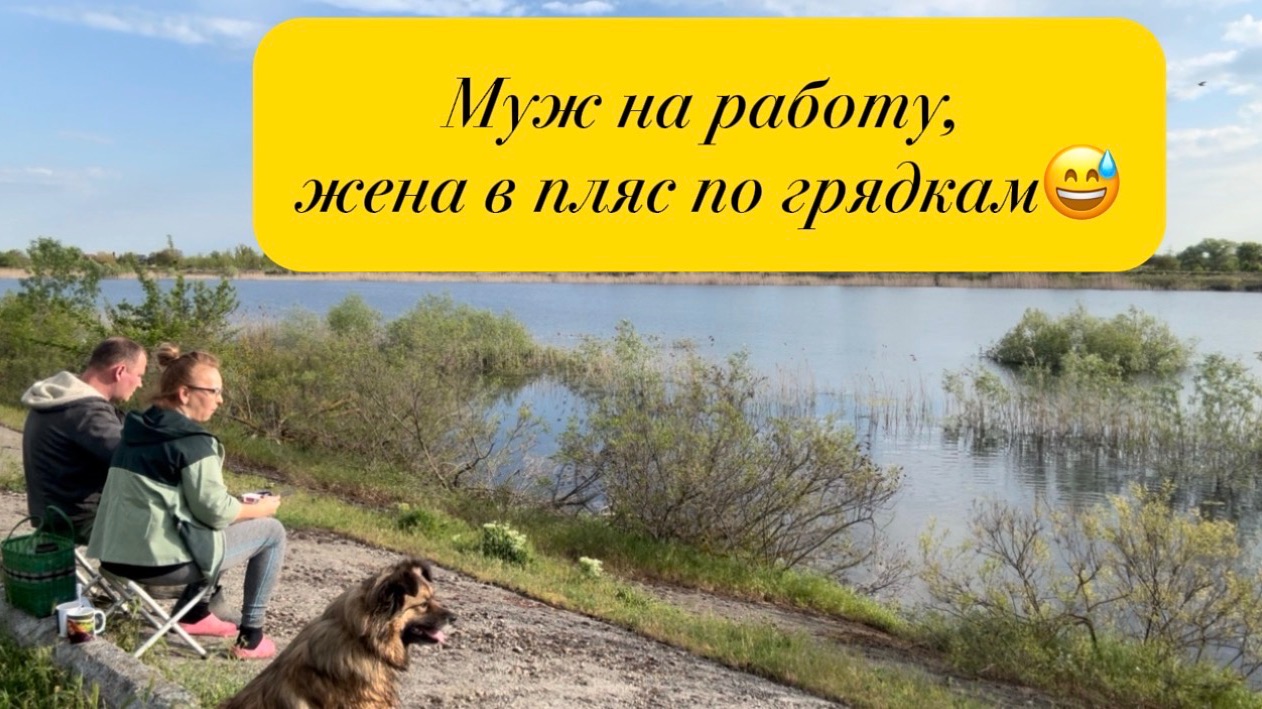 ❤️За что браться? Нужно всё и срочно/ Капельный полив в теплице/ Прилипатель в домашних условиях
