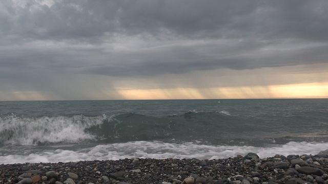 Слушая Баха