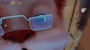 SVID_20260514_183406_3.mp4
