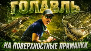 Как поймать трофейного голавля? Секреты от Алексея Шанина!
