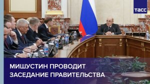 Мишустин проводит заседание правительства