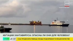 СМИ: мутации хантавируса не представляют угрозы
