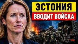 Эстония делает ход почему «тыловые войска» — это прямая угроза для России