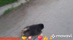 🖋️🚀ЗАБОЛЕЛА, НЕПОЛНЫЙ СОСТАВ,ТАКОЙ ДЕНЬ 💃🔥МОИ БУДНИ 🚀🖋️