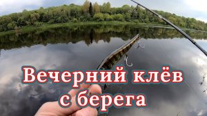 Спиннинг с берега. Вечерний клёв. Ловля щуки на спиннинг весной. Рыбалка на щуку. Спиннинг 2020.