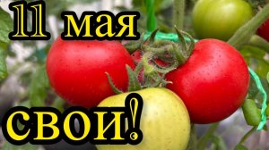 Всем ворчунам и нытикам посвящается. А вам слабо на севере?