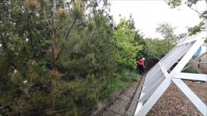 Сад Универсолиса в дождь 1305 Оксана Русина МНШУ