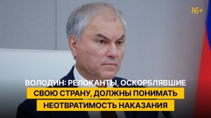 Володин: релоканты, оскорблявшие свою страну, должны понимать неотвратимость наказания