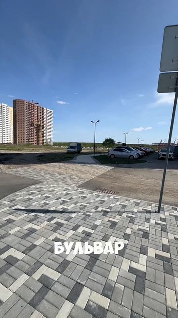 Саша в Никс-сити