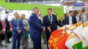 Кировская делегация работает на международном форуме «Россия — Исламский мир»