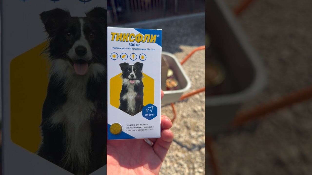 Все пёсики под защитой Тиксфли