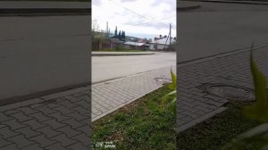Прогулка ☺️.