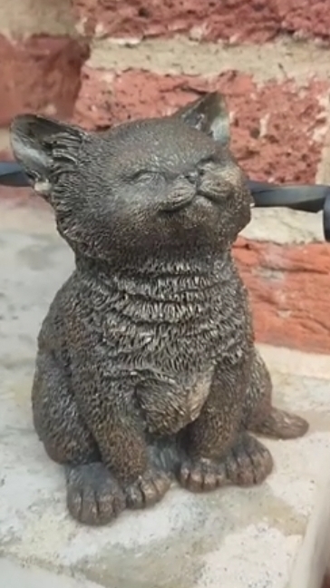 Котики Кронштадт 13.05.2026