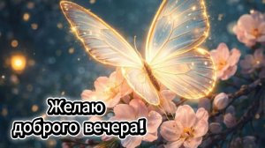 Добрый вечер: желаю доброго вечера и открытка | Домохозяйка