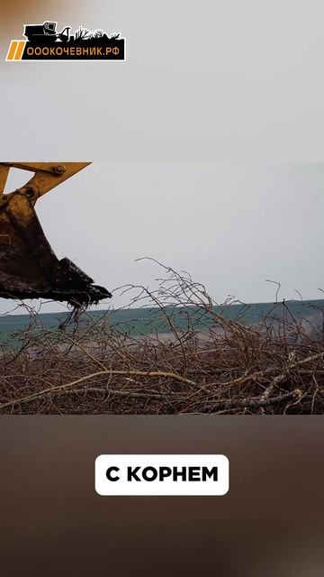 Корчевка пней и корней гусеничным экскаватором на сельхозземле