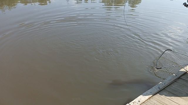 1000098278.mp4