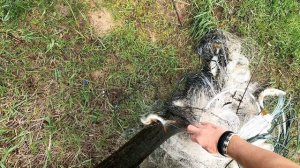Рыбалка кастинговой сеткой 6м прошла успешно! Бесприциндентная акция стартовала!! Условия в ролике😁