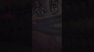 кашик и его друзья 1 сезона 2 серия