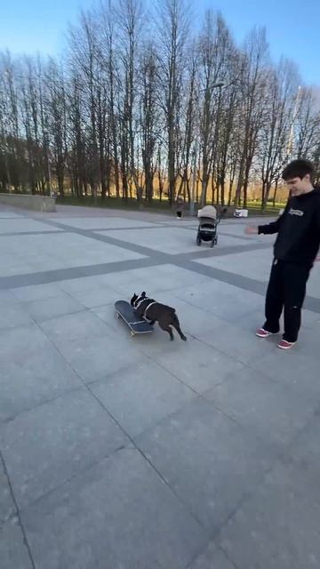 Любитель чужих скейтов 😀🛹