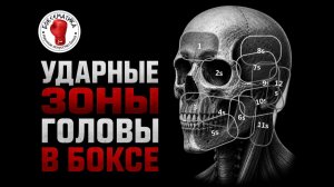 Куда бить: 25 ударных зон головы для плоского кулака