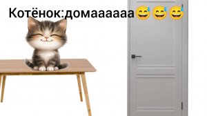 история котёнока (серия 9) часть 2